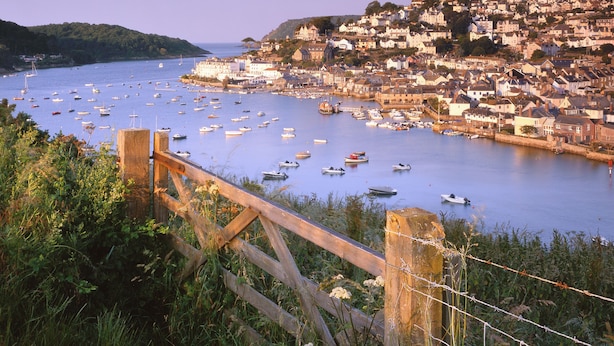 A coastal town with a harbor filled with boats, surrounded by residential buildings and a hill with houses. - This apartment is just a short walk from the centre of Salcombe. (Salcombe)