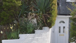 A white brick wall with a white door and a small window.