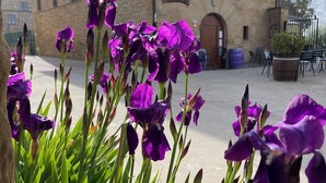 Property grounds - La  Posada de Leza (Leza)