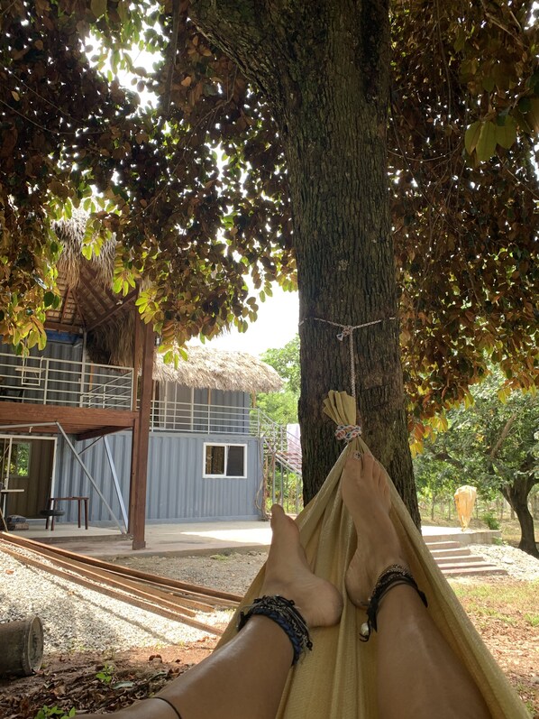 Terrein van de accommodatie