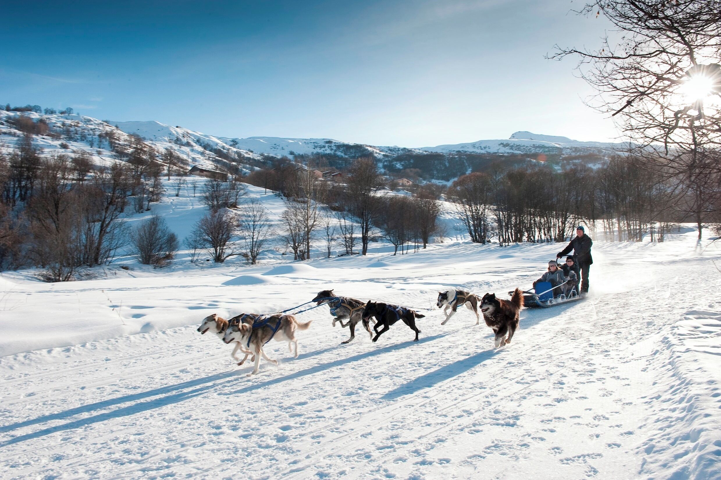 Een besneeuwd landschap met een slede die door honden wordt getrokken.