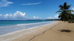 Beach nearby, sun loungers, beach towels - 5 bedroom villa, large swimming pool 250m from the sea (Las Terrenas)