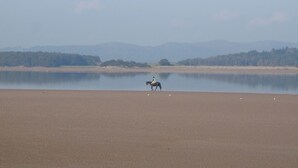 A horse and rider on a wide, open beach with a calm lake and distant hills. - 3 bedroom accommodation in Silverdale near Grange Over Sands (Silverdale near Grange Over Sands)