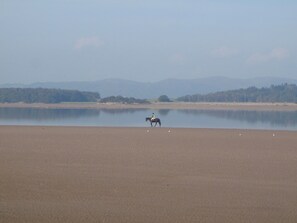 Spiaggia