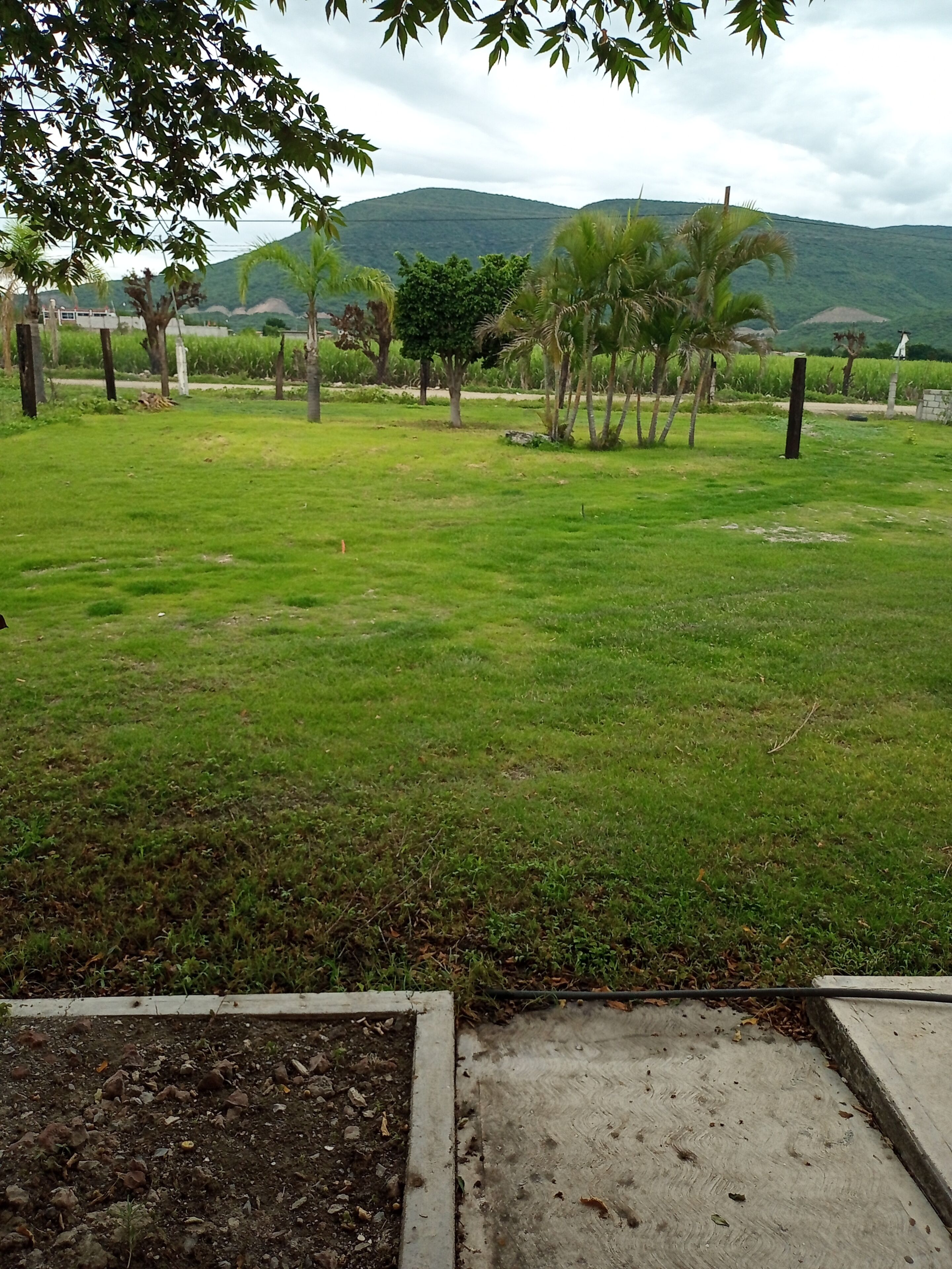 공용 도미토리, 침실 2개, 흡연, 전용 수영장 | 숙박 시설의 전망