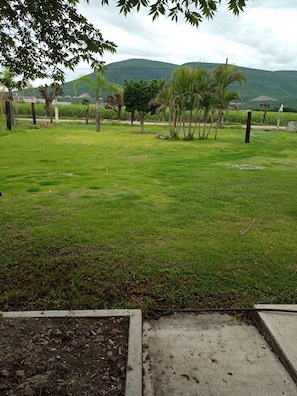 Vista desde la propiedad