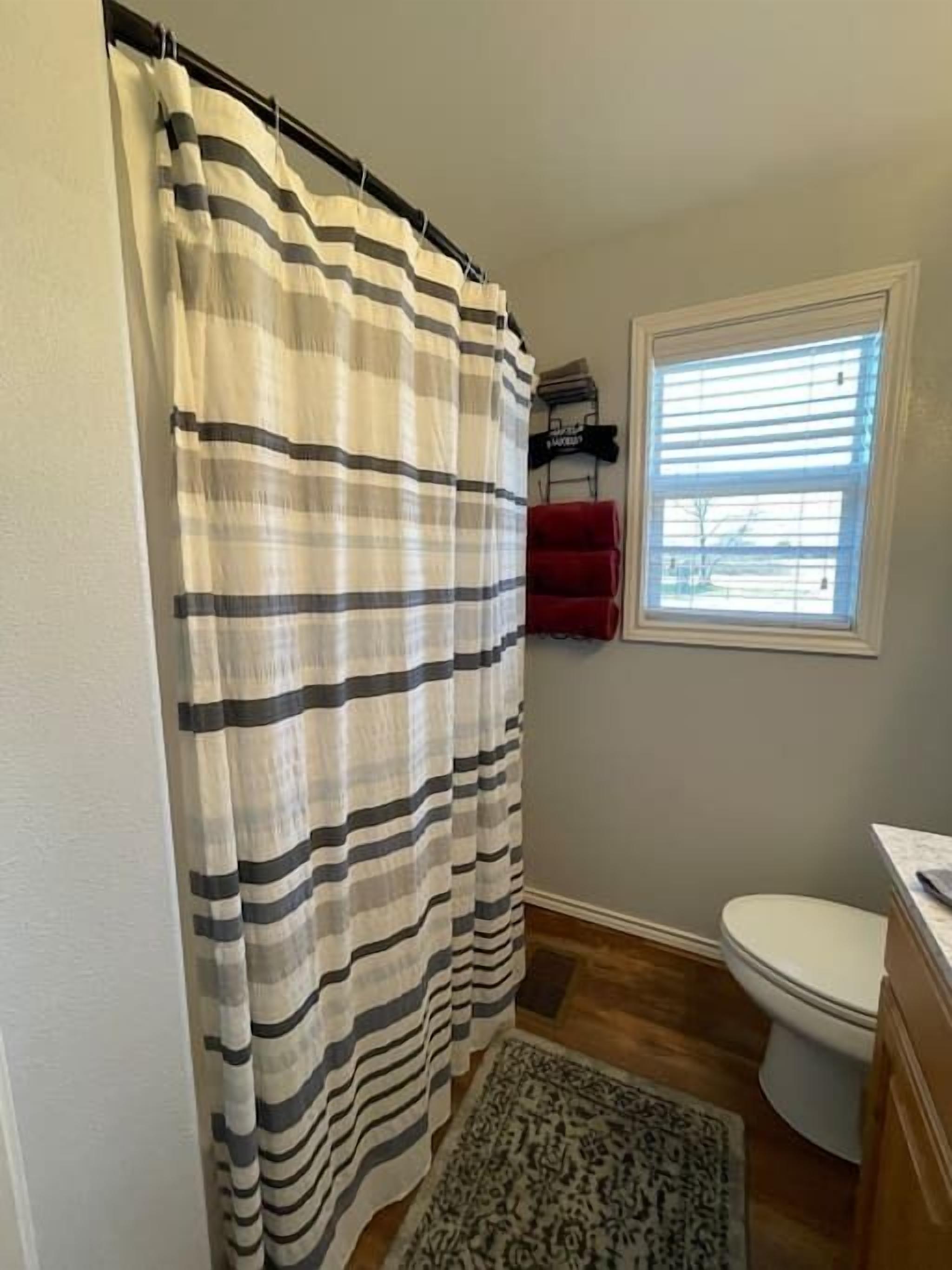 A bathroom with a striped shower curtain, a toilet, a rug, and a window with blinds.
