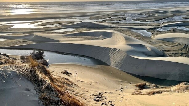 A desert landscape with sand dunes and a body of water. - Big Stump (Lincoln County)