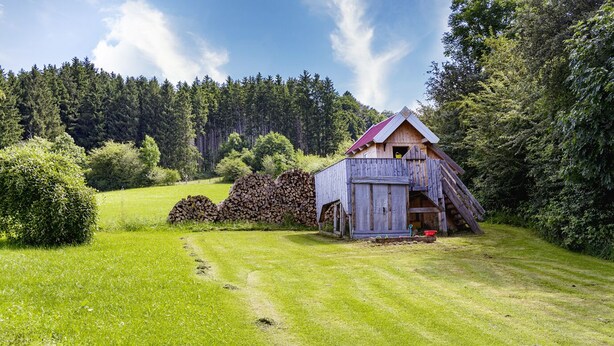 Un chalet rustique en bois, avec un toit rouge, entouré d’un paysage verdoyant et d’une forêt dense.