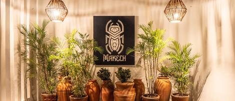 Una hilera de macetas de terracota con plantas, una pared con un logotipo y luces colgantes.