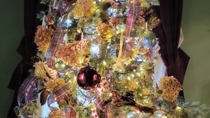 A Christmas tree decorated with lights, ornaments, and ribbons. - Federalist style home close to down town minutes from the Field of Dreams! (Dyersville)