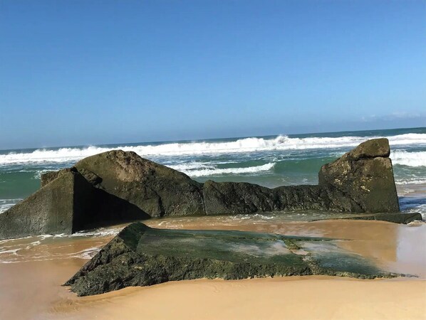 Playa en los alrededores y camastros
