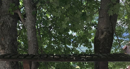 Quiet studio near the center of Allos, close to the famous lake, the Verdon and skiing.