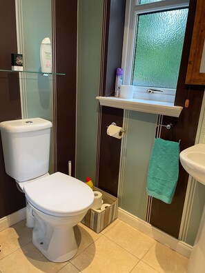 Shower, hair dryer, towels, soap - Glasphein Annex  (Inverness)