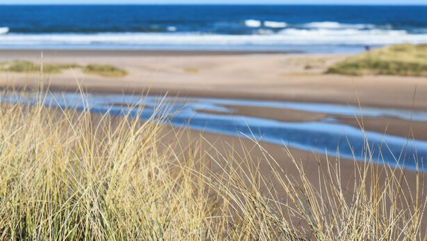 A beach with sand and grass in the foreground. - 3 bedroom accommodation in Beadnell (Beadnell)