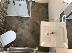 Bathroom features a large sink, mirror with light, shower area with glass door, and a toilet with bidet attachment.