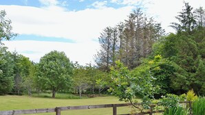 A fenced grassy area with trees and a wooden fence.