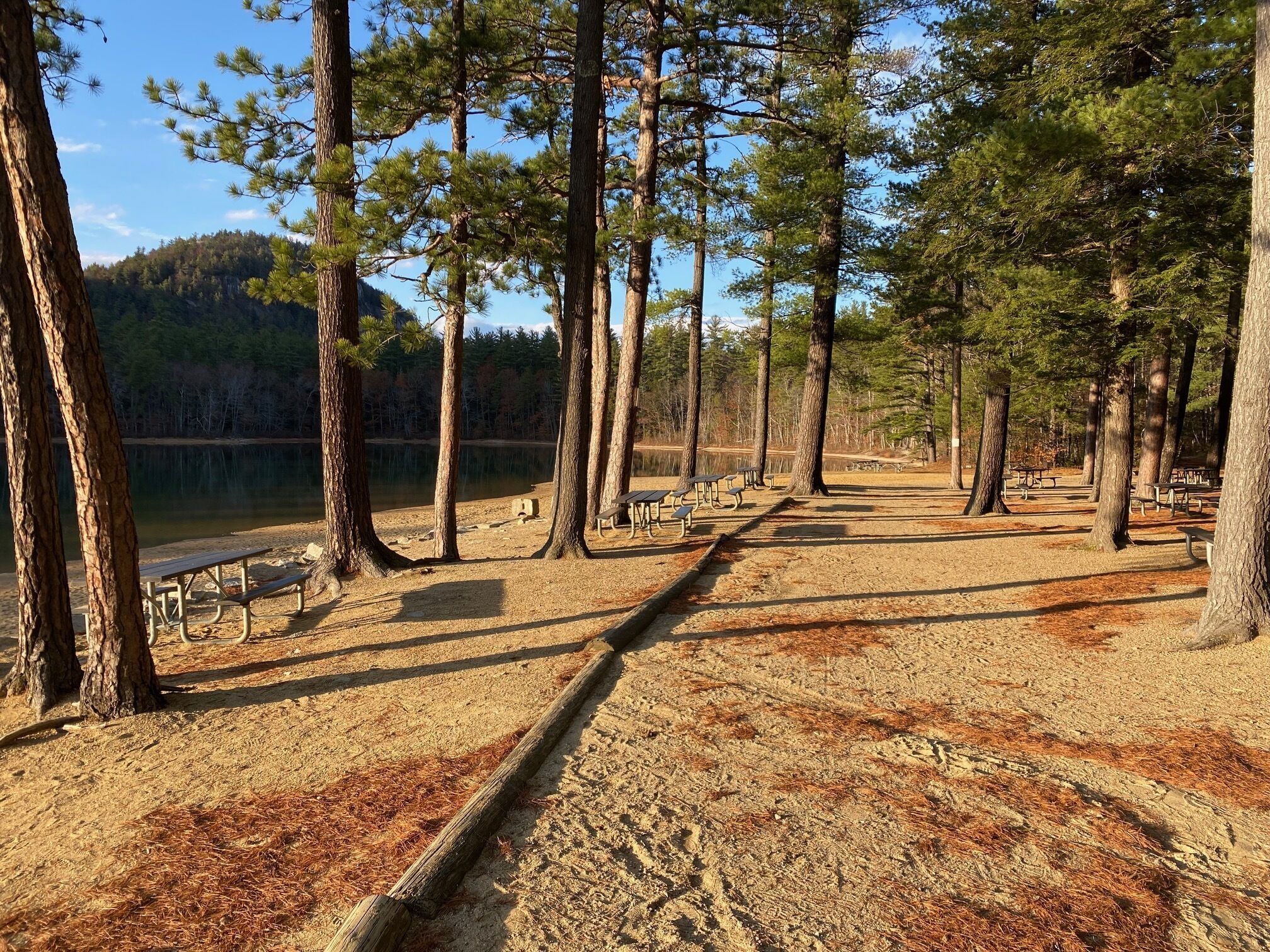 A campground with picnic tables and benches, surrounded by tall trees and a lake.