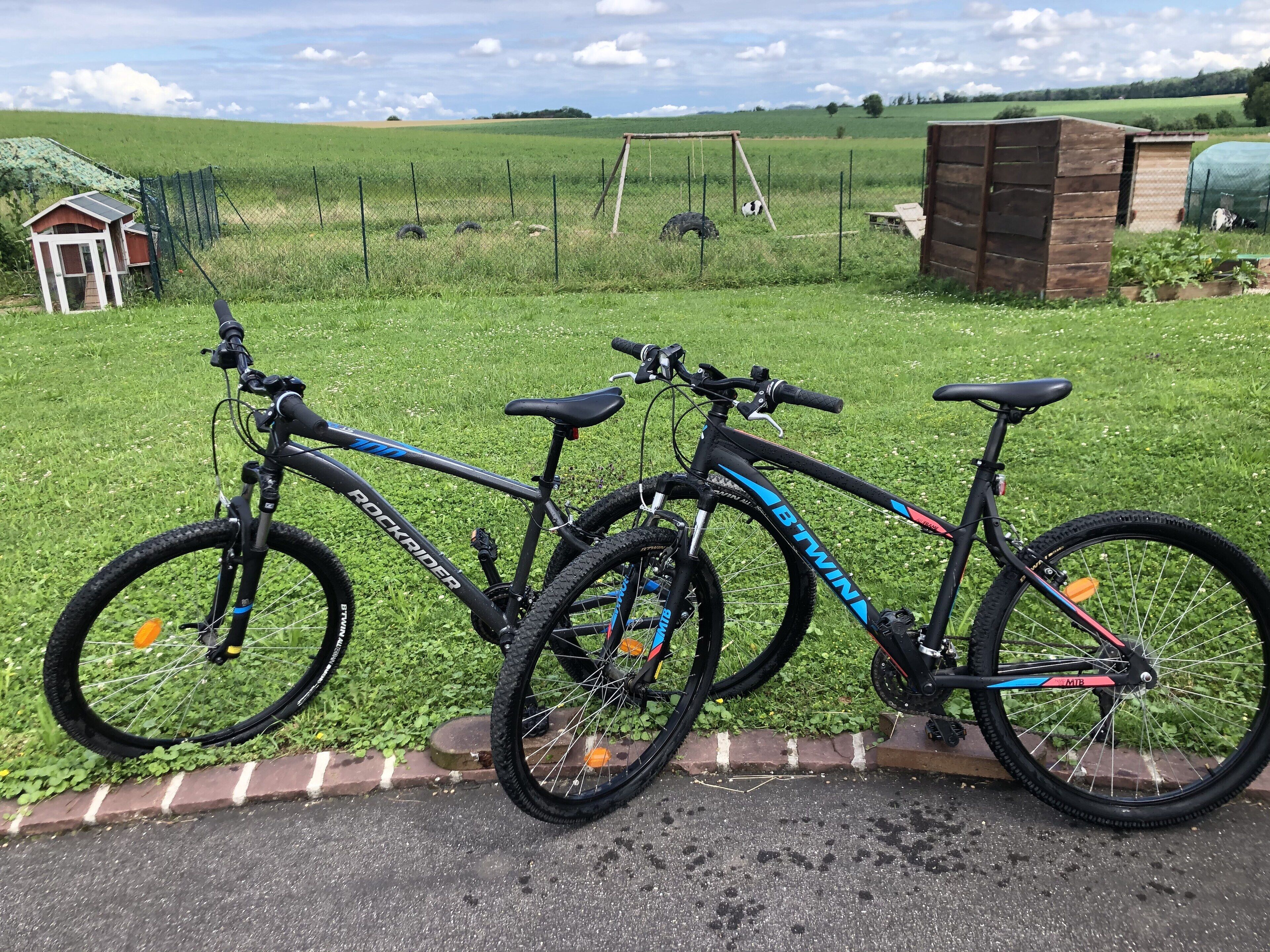 Twee fietsen staan op een grasveld, met een schommel en een klein gebouw op de achtergrond.