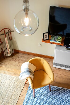 Smart TV, fireplace, books, video library