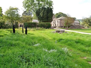 A grassy area with a stone building, a pathway, and a large tree.