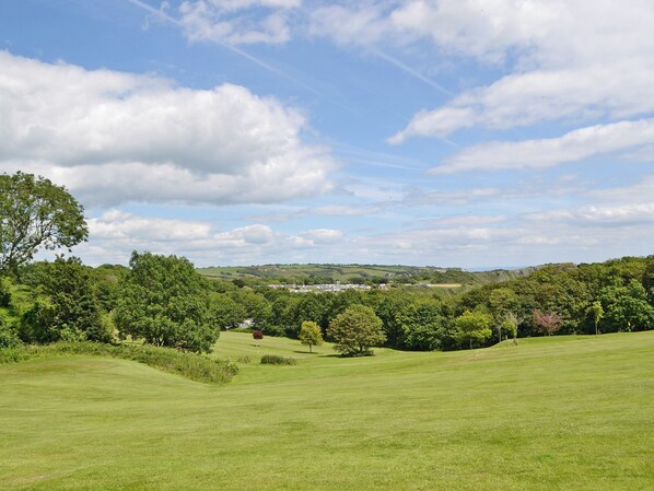 A grassy field with trees and a distant view of a town.