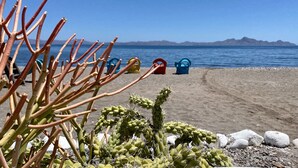 Une plage avec un cactus au premier plan et une vue dégagée sur l’océan et les montagnes en arrière-plan.