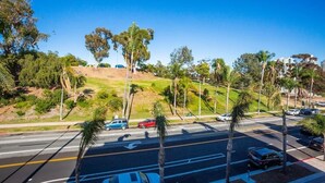 Vista de la calle con palmeras, una colina cubierta de césped y coches estacionados.