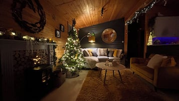 Smart TV, fireplace, Netflix, DVD player