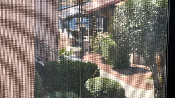 A view through a window with a mesh screen, displaying a building with a red roof, palm trees, and a well-maintained garden. - Condo in a Riverfront Complex (Bullhead City)