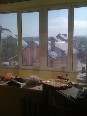 Interior - Whole Apartment in Truskavets (Truskavets)