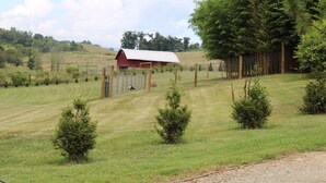 A rural landscape with a red barn, fenced pasture, and small trees. - The Carson at Ridgeview. Asheville rental! Luxury Glamping! (Alexander)