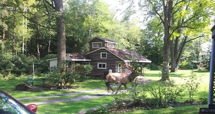 Reduced to 80.00 March -July week days