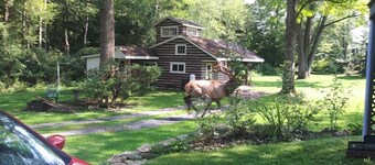 Reduced to 80.00 March -July week days