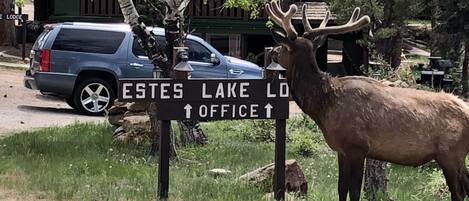 Deluxe huisje, open haard, uitzicht op meer | Ingang accommodatie