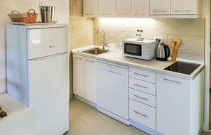 Frigorífic, microones, placa de cuina i rentaplats