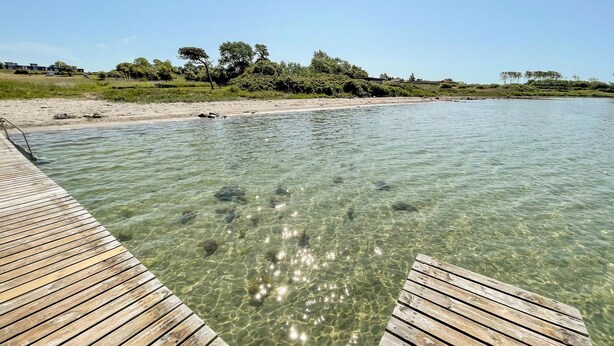 Un muelle de madera que se adentra en aguas cristalinas, con una playa arenosa y árboles al fondo.