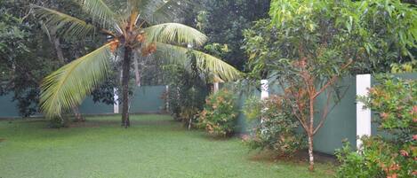 A well-maintained garden with a palm tree, a small tree with red flowers, and a green hedge.