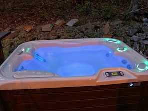 Ein Whirlpool mit Bedienfeld, umgeben von Steinen und Pflanzen.