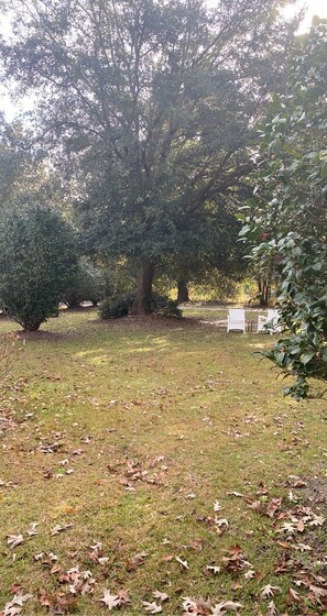 Property grounds - The plantation (Green pond)