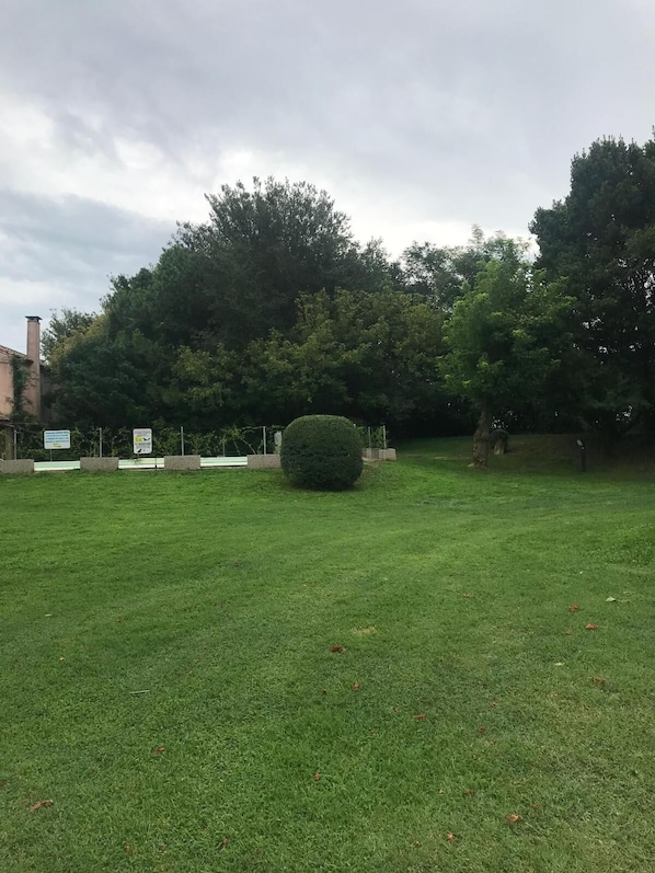 A grassy area with a small bush and trees in the background. - Beautiful and Quiet Villa In Residence In The Po Delta Oasis (Porto Levante)