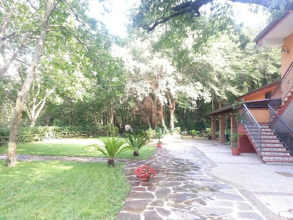 Terrain de l’hébergement 