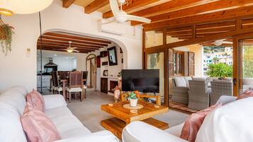 TV, video game console