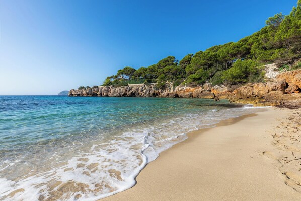 Plage à proximité
