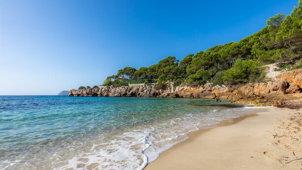 A beach with clear water, sandy shore, and rocky cliffs with trees. - "Can Caragol" Holiday Apartment with Private Terrace, A/C & WiFi (Cala Rajada)