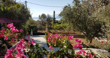 Cozy vacation apartment Panorama1