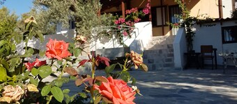 Cozy vacation apartment Panorama1