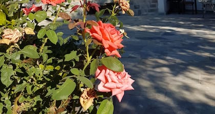 Cozy vacation apartment Panorama1