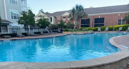 Spacious one bed/ one bath apartment in The Woodlands, TX