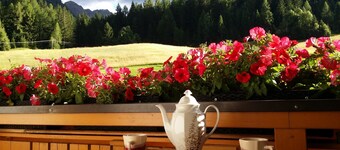 Cozy Angererhof: Near Drei Zinnen - Dolomites Apartment (4P) - ALPINE